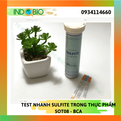 INDOBIO-TEST.COM